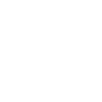 The Automated Agency