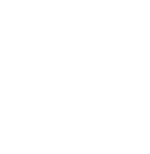 Arrowhead Medical