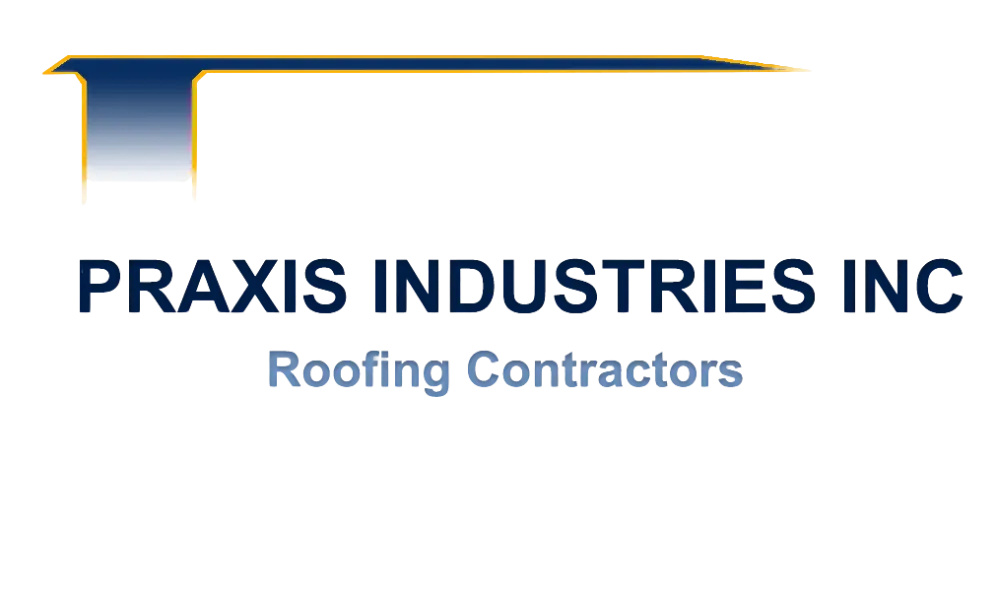 Praxis Industries